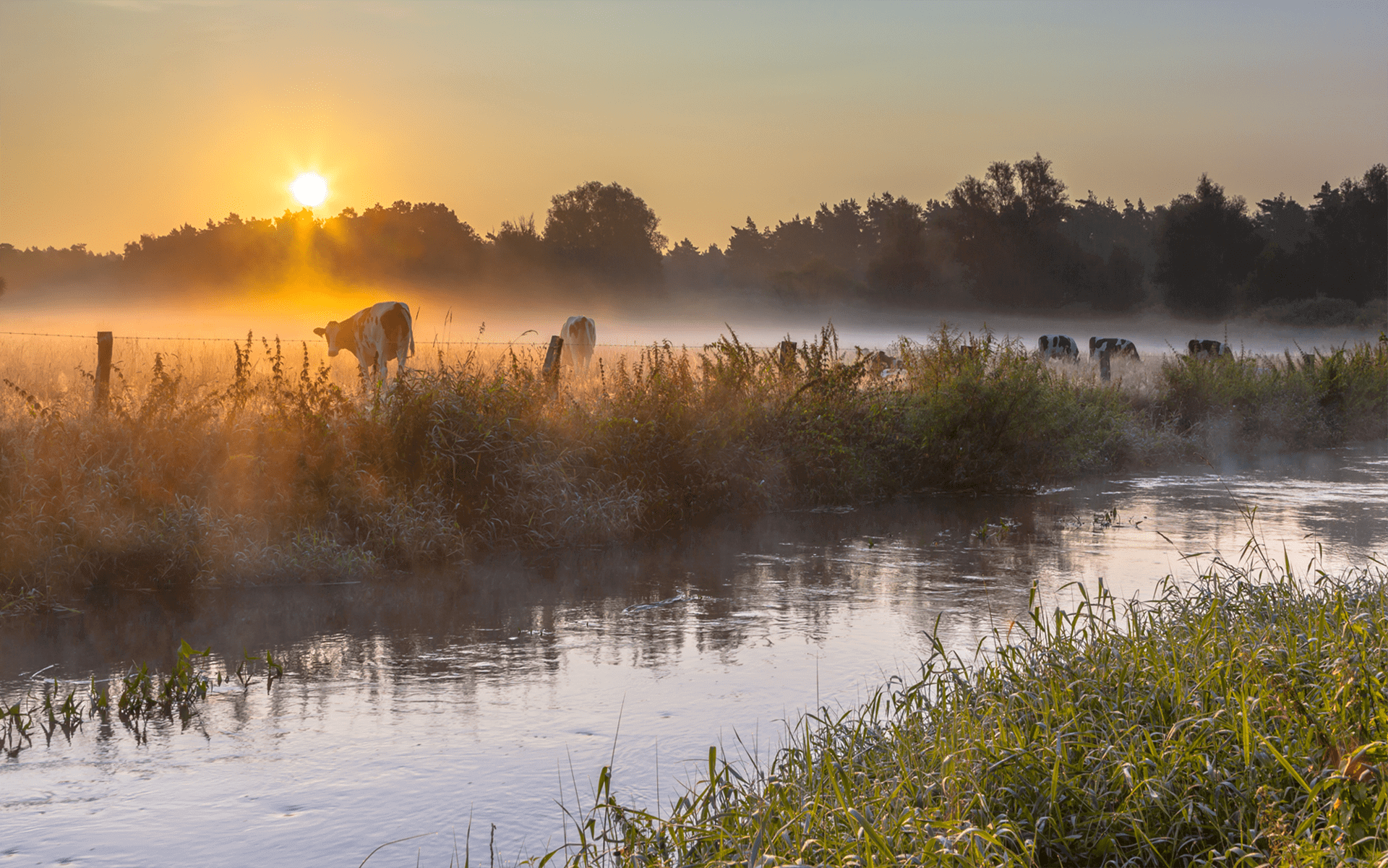 2-Frisse-Groene-Metropool-Twente