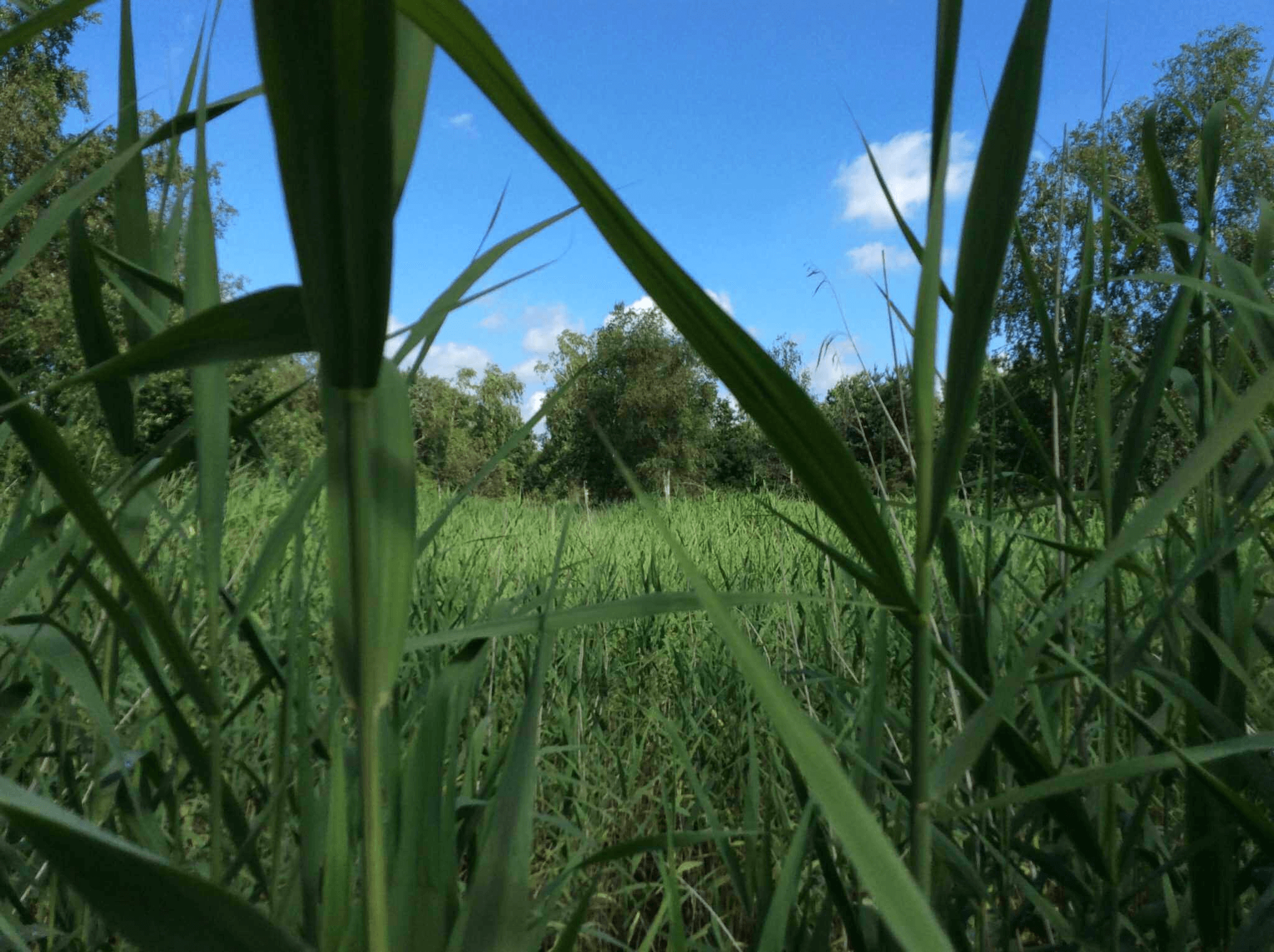 22-Kringlopen-Groene-Metropool-Twente