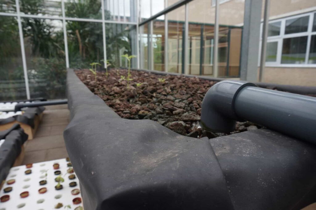 Aquaponics-Twente-Groene-Metropool-Twente