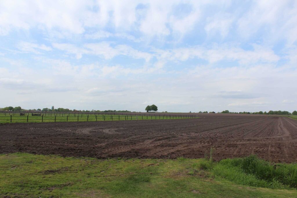 Mageler-Es-Lagenhof-Groene-Metropool-Twente