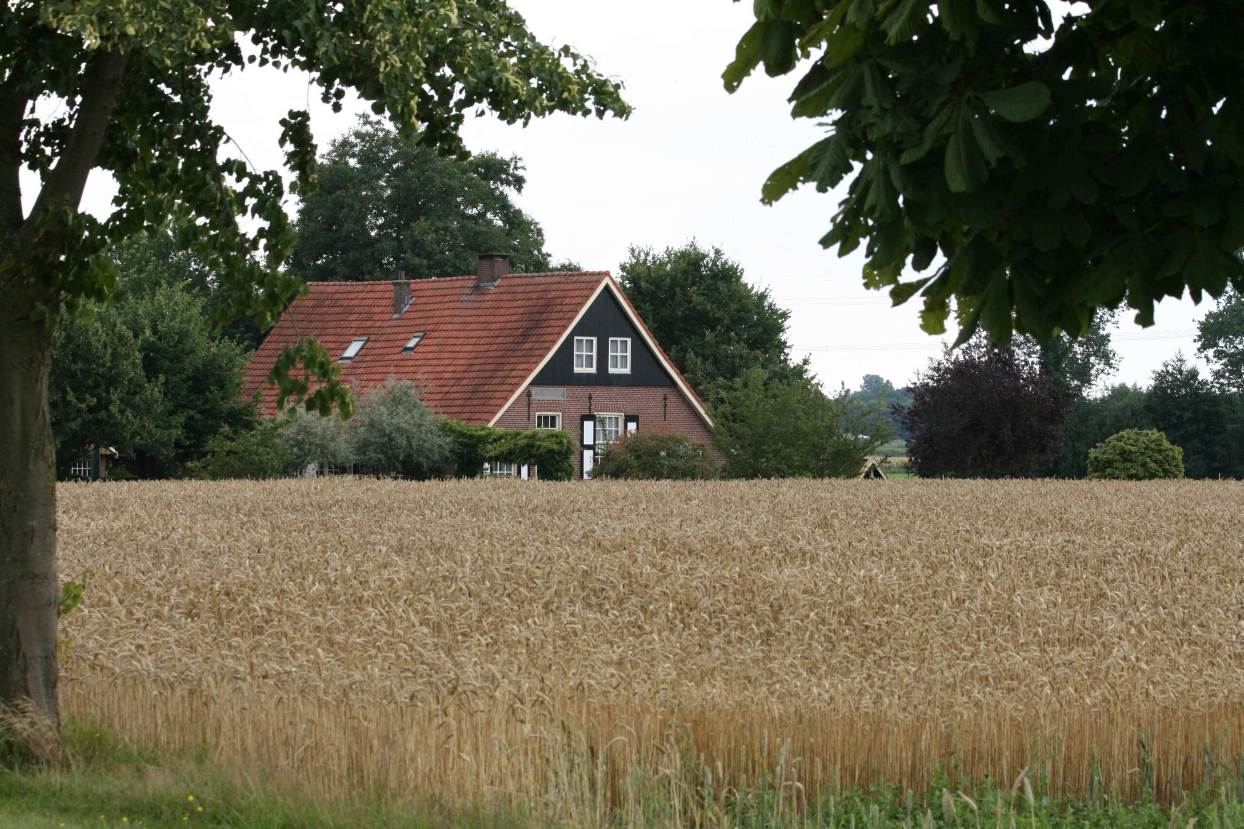 Werken-Platteland-Groene-Metropool-Twente